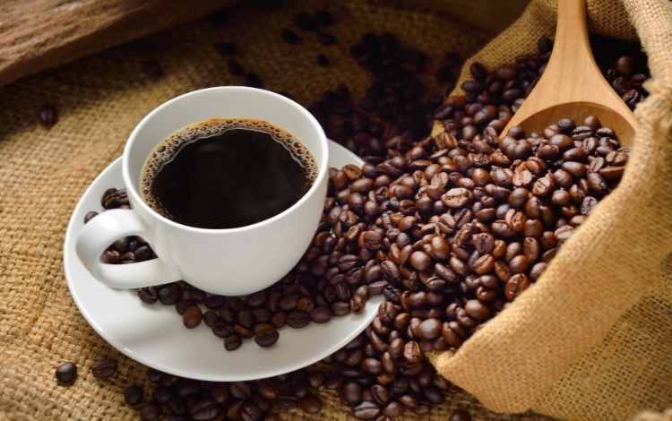 Coffee Quotes