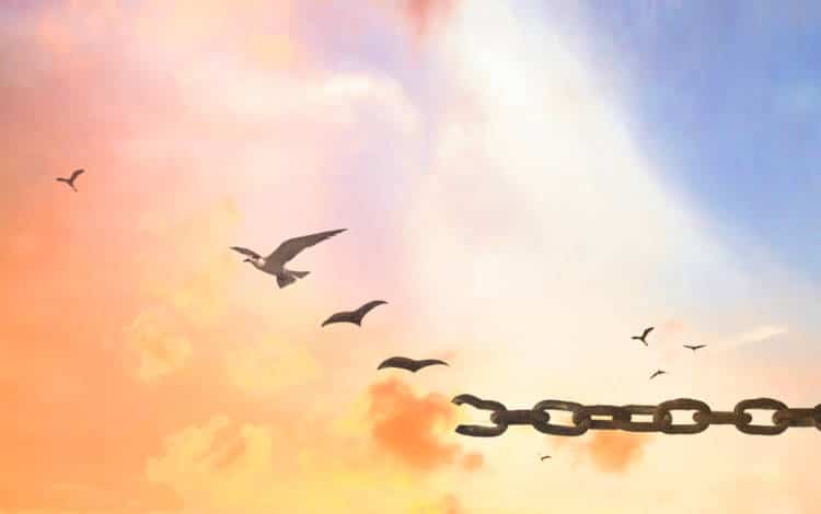 Let go