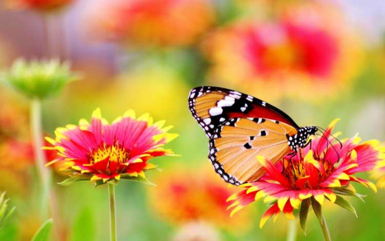 Conscious Living in Daily Routine
