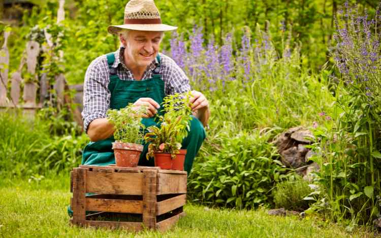 Gardening