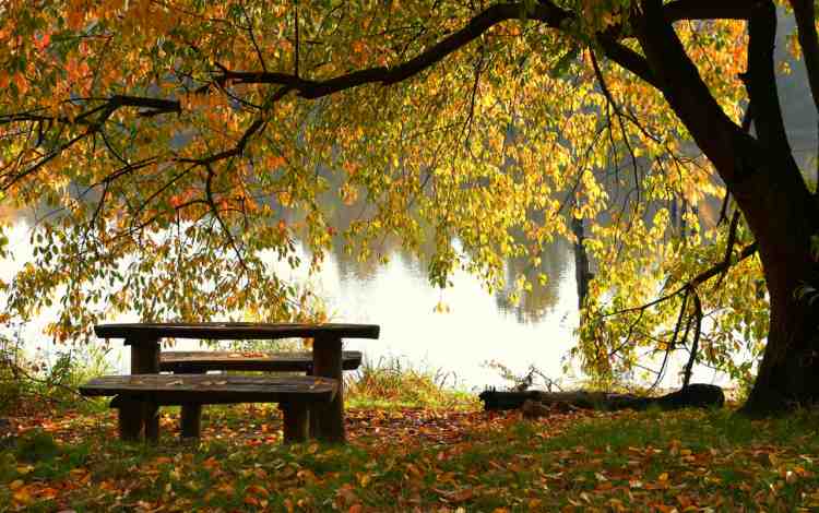 Mindfulness Meditation