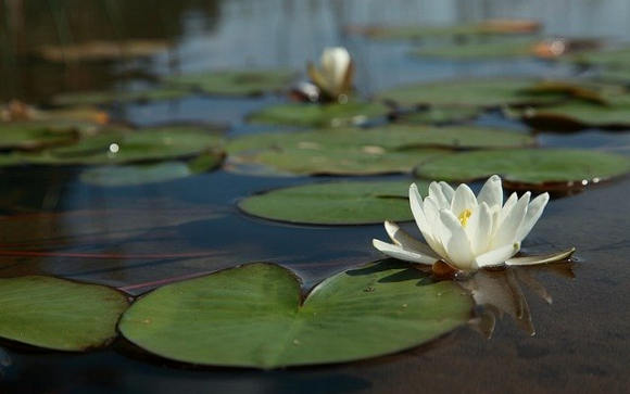 Spiritual Awakening Quotes
