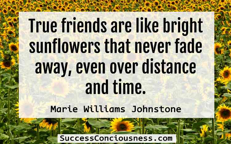 Sunflower Quotes