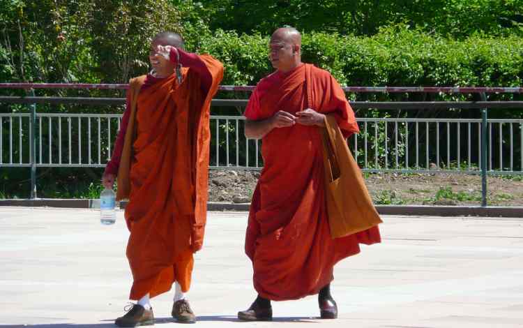 The Yogi and the Disciple