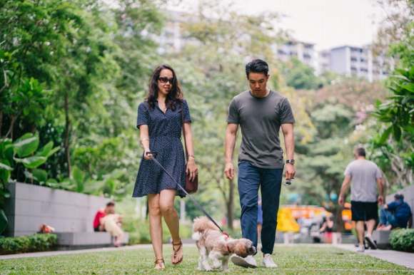 Walking the Dog